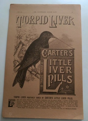 Carter little liver pills - carter's,
