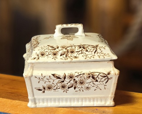 Vintage staffordshire - vintage,
